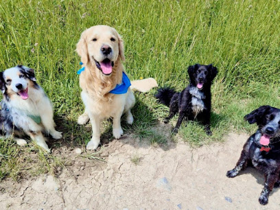 L'entente A'croc - Education Et Comportement Canin - Cours Collectifs - Pet Sitter - Secteur Genevois Vuache -, Dresseur De Chiens à Jonzier-Épagny