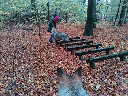Animappy : Educatrice Comportementaliste Canin, Dresseur de Chiens à Uffholtz