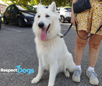 Éducateur Canin Respectdogs Grenoble Dresseur De Chiens à Grenoble