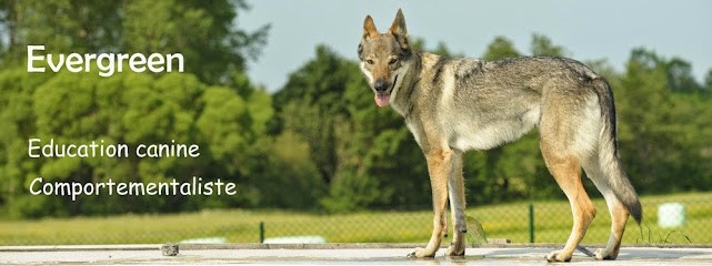Evergreen - Educateur canin Comportementaliste Landes Mont de Marsan et Gers, Dresseur de Chiens au Frêche