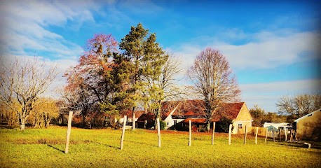 En Terre Grégaire, Dresseur de Chiens à Fontenoy