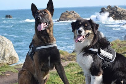 Pension canine Sainte Anne, Pension pour Chiens à Plouguerneau