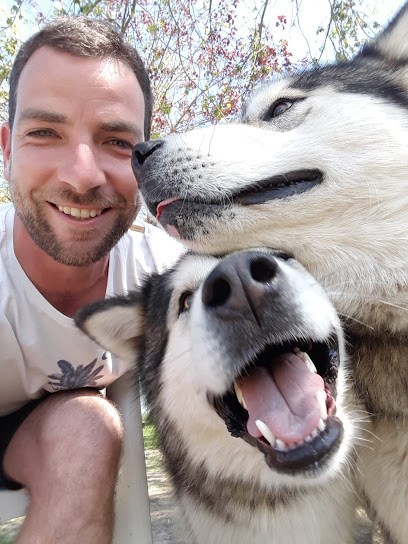 Smart'Dogs : l'éducation canine sympa et ludique, Dresseur de Chiens à Rezé