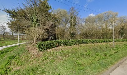 Elevage Staffordshire bull Terrier 