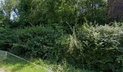 Elevage Des Bondes, Eleveur de Chiens à La Genevraye