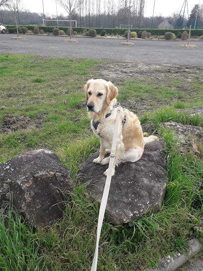 Étri'chiens & Cie, Pension pour Chiens à Étriché