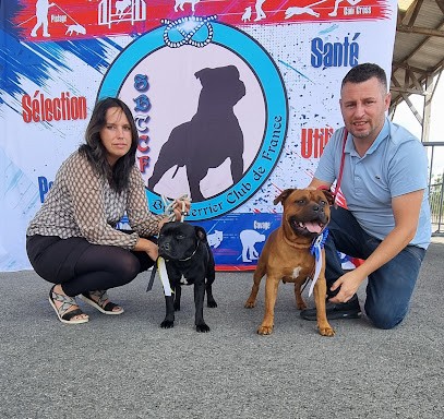 Domaine des Juraires, Eleveur de Chiens à La Chaize-le-Vicomte