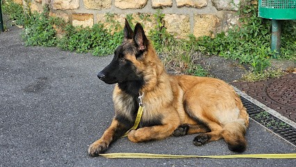 Elevage Et Pension Canine Du Bois Blanc Val (SARL Des Cotes Noires), Eleveur de Chiens à Moëslains