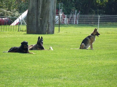 Ani'Move 34, Dresseur de Chiens à Vauvert