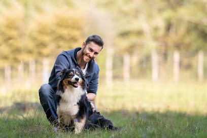 Il Etait une Patte - Éducateur Comportementaliste Canin, Dresseur de Chiens au Teich