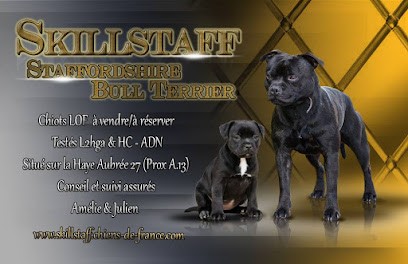 Elevage de Staffordshire Bull Terrier LOF SkillStaff, Eleveur de Chiens à La Haye-Aubrée