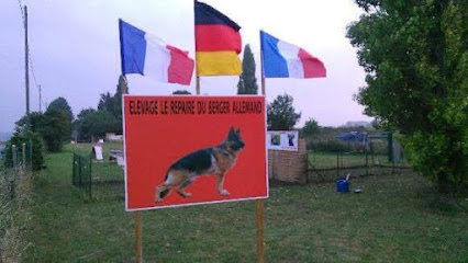 Le Repaire Du Berger Allemand Éleveur De Chiens à Masny