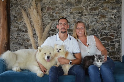 L'Auberge Des Lutins, Pension pour Chiens à Mauges-sur-Loire