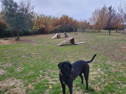 Pension Canine Du Mas Des Amandiers, Pension pour Chiens au Pouget