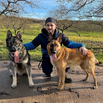 Alpha Dog - Comportementaliste Canin, Dresseur de Chiens à Saint-Nicolas-de-Port