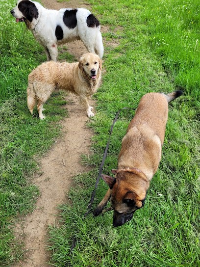 Animal Perception Comportementaliste Rééducation Animale, Dresseur de Chiens à Montrevault-sur-Èvre