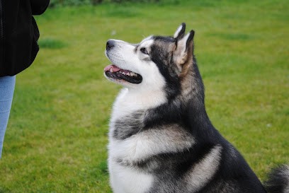 Au Petit Refuge D’Hirjasko, Pension pour Chiens à West-Cappel