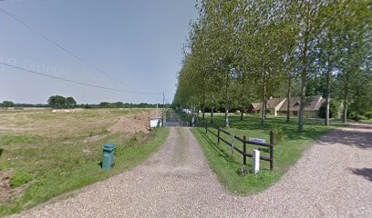 Élevage du domaine des terres brunes, Eleveur de Chiens à Bouloire