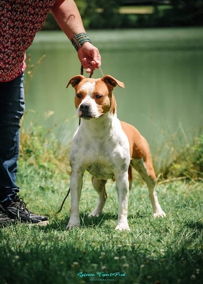 ELEVAGE PENSION CANINE DE KARYSHA, Eleveur de Chiens à Ger