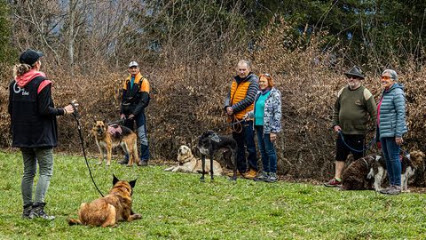 Gus Educ, Dresseur De Chiens à Marnaz