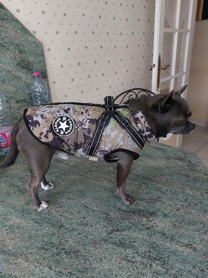 club canin Marcoussis agility, Dresseur de Chiens à Marcoussis