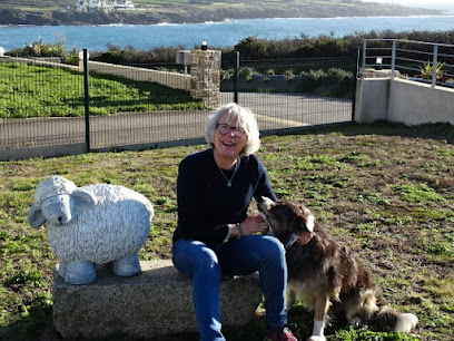 Cani' Click Maryannic Jourden, Dresseur De Chiens au Conquet