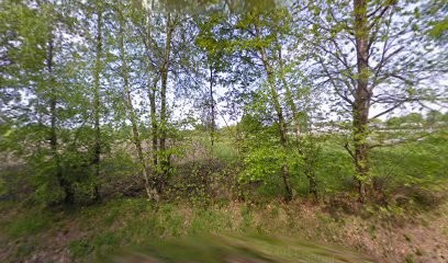 Les Entrechiens, Dresseur de Chiens à Mézières-sur-Couesnon