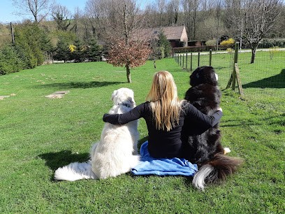 Déclic Dog Passion, Dresseur de Chiens à Ouve-Wirquin