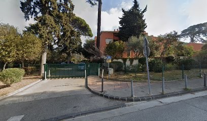 PALERMO SAUVEUR, Dresseur de Chiens à Marseille 09