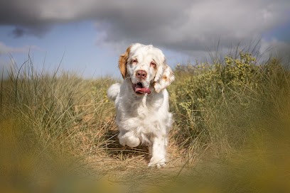 Hobivanna, Eleveur de Chiens à Sainte-Céronne-lès-Mortagne