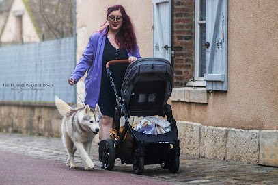 Of the huskies paradise pond, Eleveur de Chiens à La Chapelle-Saint-Sépulcre