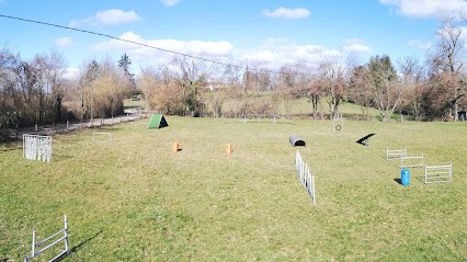CECT - Education Canine Toutes Races, Dresseur de Chiens à Saint-Siméon-de-Bressieux