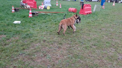 Dog guardia, Dresseur de Chiens à Montmorot