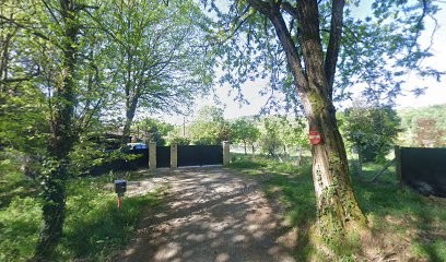 Elevage des Mystères de la Forêt - Elevage de Boxer, Eleveur de Chiens à Sarlat-la-Canéda