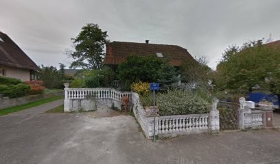 Chihuahuas, Eleveur de Chiens à Beinheim