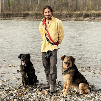 Maxime Taillard - Éducateur Canin Dresseur De Chiens à Rognes