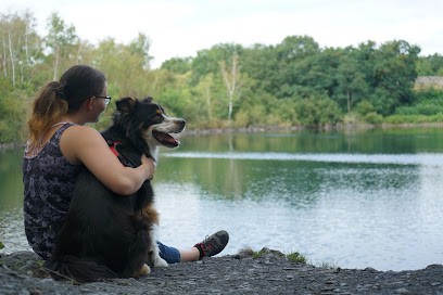 Coup D'Patte - Education/Comportement Canin - Maine Et Loire, Dresseur de Chiens à Tuffalun