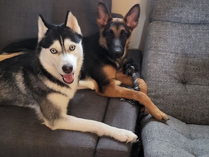 Corsicanin, Pension pour Chiens à Autrèche