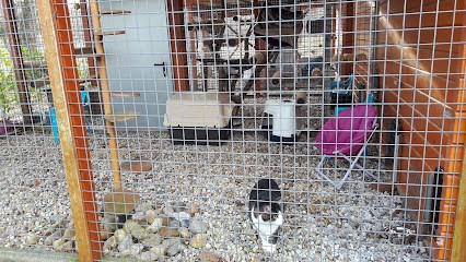 Domaine D'elma pension chien et chat, Pension pour Chiens à Sainte-Hélène