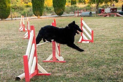 TREBES SPORTS CANINS, Dresseur de Chiens à Trèbes