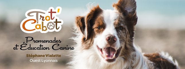 Trot'cabot - Educateur Comportementaliste Canin Dresseur De Chiens à Mornant