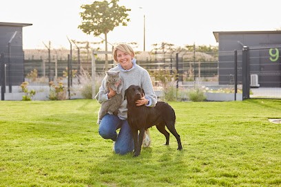La Pension Du Sart, Pension pour Chiens à Frelinghien