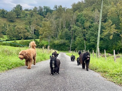 Souleguiou, Eleveur de Chiens à Montory