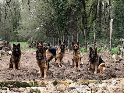 Elevage Du Territoire Des Anges, Éleveur De Chiens à Bommiers