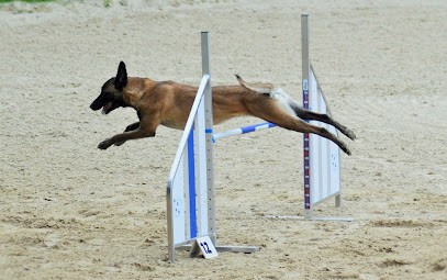 Atouts Chiens & Pension Canine Le Lavandou, Dresseur de Chiens au Lavandou