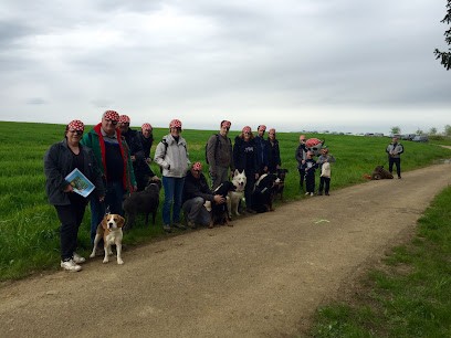 E.C.O. CANIN, Dresseur de Chiens à Viviers