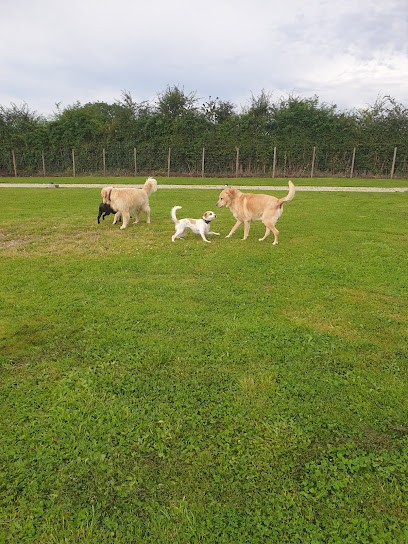 Patchou et Compagnie, Pension pour Chiens à Pierrepont