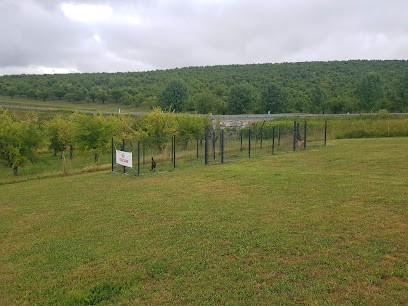 L'Auberge de Labarthe, Pension pour Chiens à Coulx