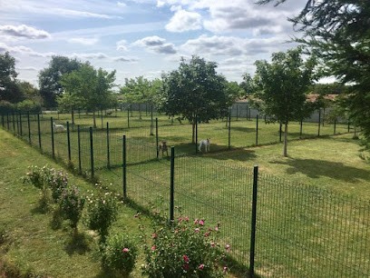 dog Pension Wood Clerbault, Pension pour Chiens à Chauvigny