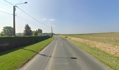 Elevage Des Bulls du Hainaut, Eleveur de Chiens à Monchaux-sur-Écaillon
